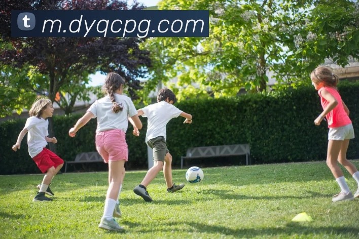 pg官网平台生态图